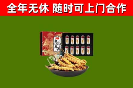 抚远市回收冬虫夏草价格
